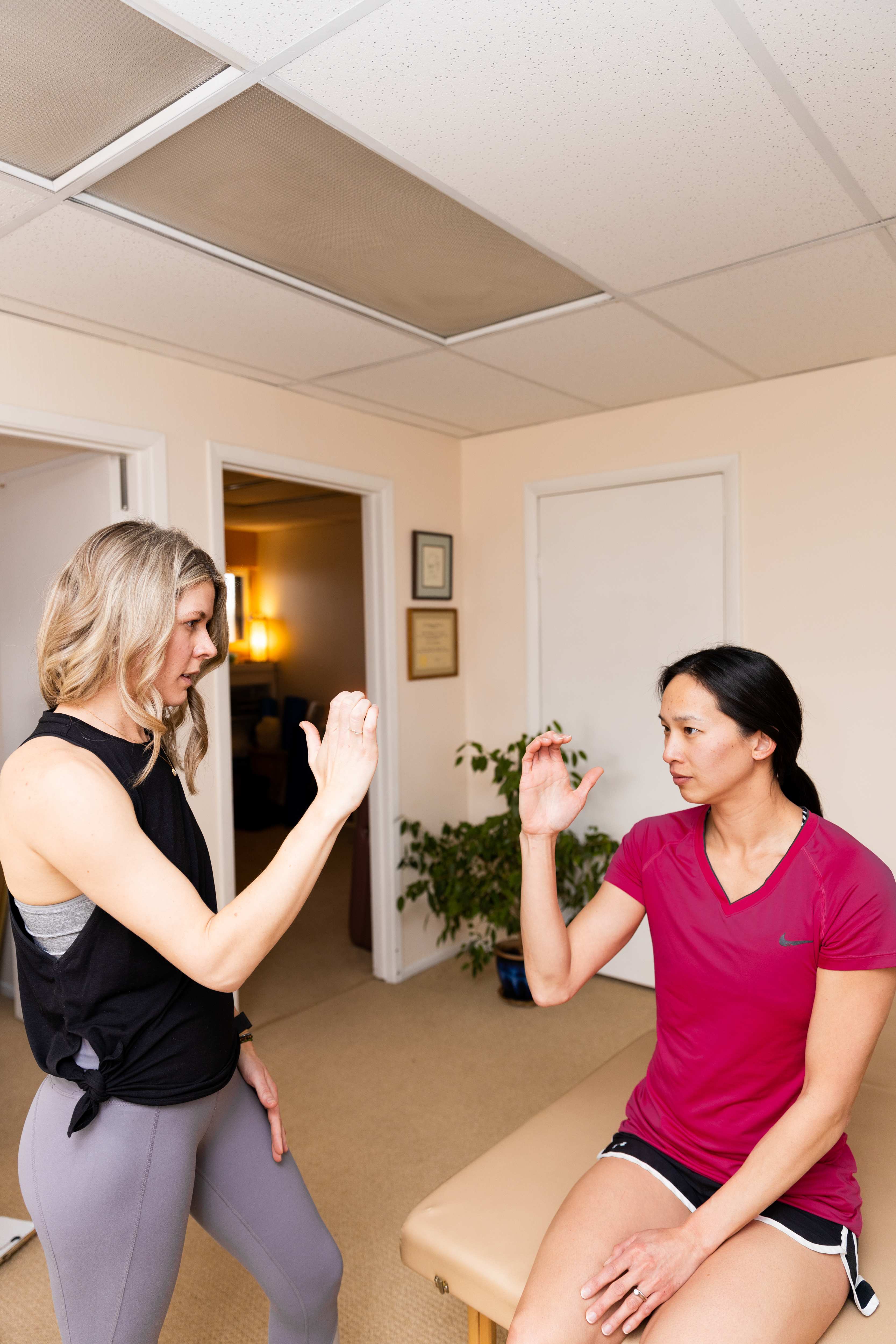 Pinyon Physical Therapy Tool Augmented Tissue Release